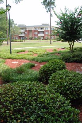 Wild Wing Resort - 