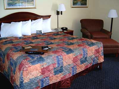 King Bed Room