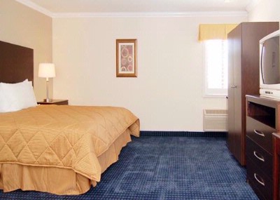 Comfort Inn - 