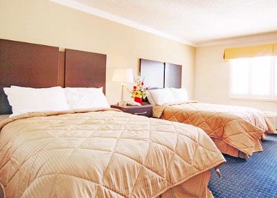 Comfort Inn - 