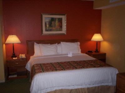 Residence Inn by Marriott - King Suite