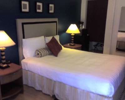 Alpine Inn & Suites - 