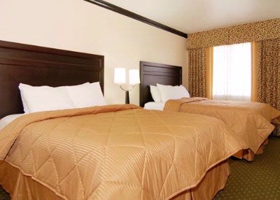 Comfort Inn Near Universal Studios Hollywood - Guest Room