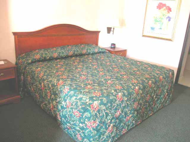 Comfortable King Bed