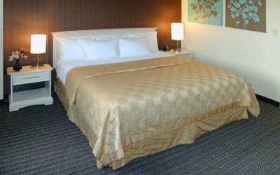 Embassy Suites Las Vegas - King Room