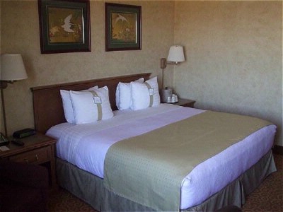Holiday Inn Richardson - Guest Room With King Size Bed