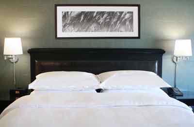 Sheraton Chicago Northbrook - 