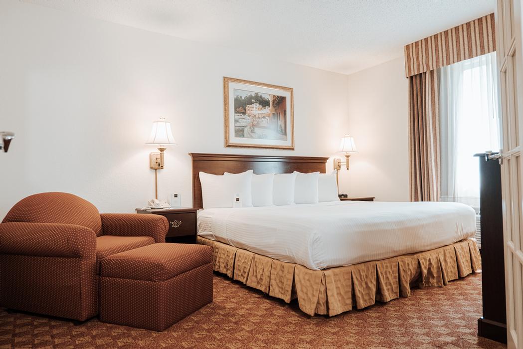 Quality Inn & Suites - Deluxe King Suite Bedroom
