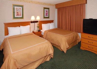 Comfort Suites - Double Suite