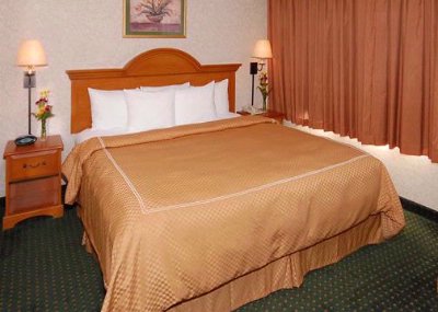Comfort Suites - King Suite