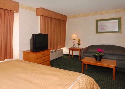Comfort Suites - 