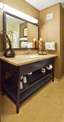 Holiday Inn Arlington Northeast - Bathroom In Standard Room