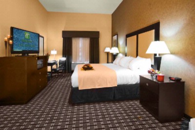 Holiday Inn Arlington Northeast - King Room