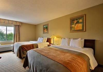 Comfort Inn - Friendly Staff