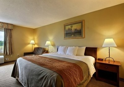 Comfort Inn - Warm Inviting Lobby