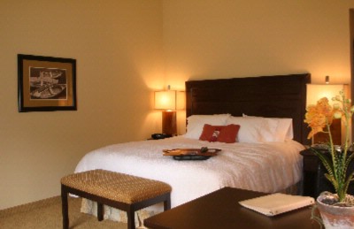 Hampton Inn & Suites Austin / Cedar Park Lakeline - King Deluxe