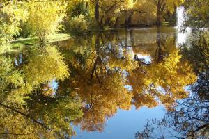 One Of Two Large Ponds