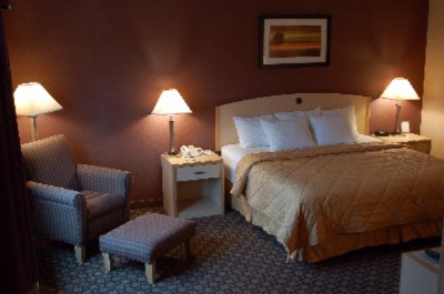 Comfort Inn Loveland - King