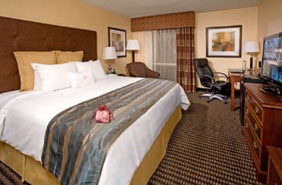 The West End Hotel Dallas Downtown - King Room