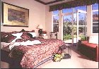 Gold Poppy Guestroom At Canyon Villa Of Sedona
