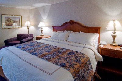 Best Western Mount Vernon - Standard King