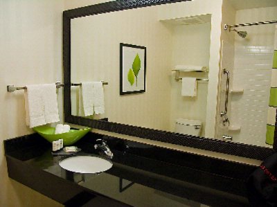 Fairfield Inn & Suites by Marriott Tampa East / Fa - Guest Bathroom