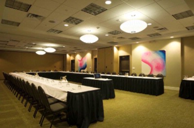 New Holiday Inn Dfw Airport South - Meeting Room