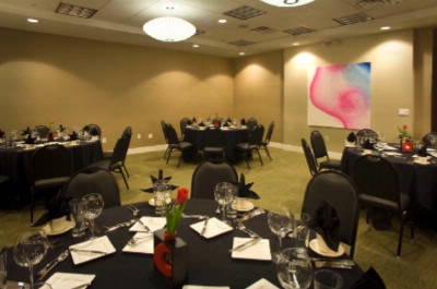 New Holiday Inn Dfw Airport South - Break-out Room