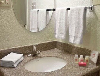 Ramada Intercontinental Airport - 