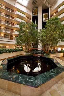 Embassy Suites Austin Arboretum - Atrium / Swans