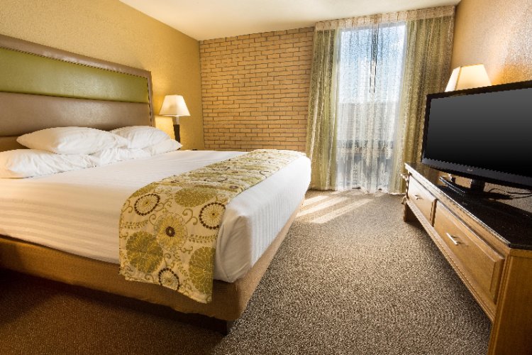 Drury Suites Paducah - King