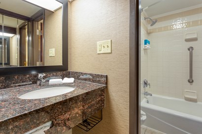 Drury Inn & Suites Atlanta Airport - Lobby