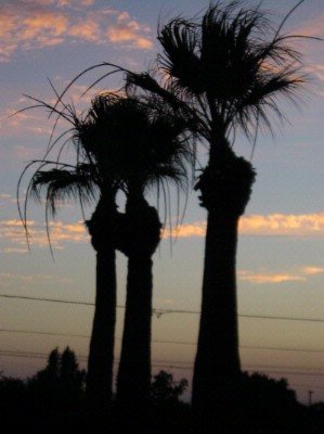 Best Western Coronado Motor Hotel - Sunset In Yuma At Hotel