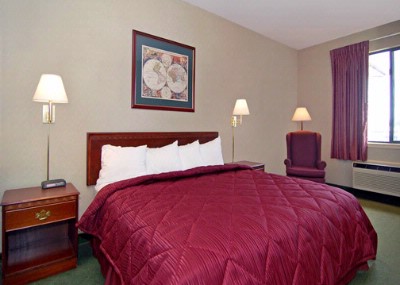 Quality Inn & Suites - Standard Room With King Bed