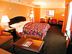 Grand Plaza Montreal - 