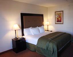 La Quinta Inn & Suites Dallas / Las Colinas / Irvi - King Room