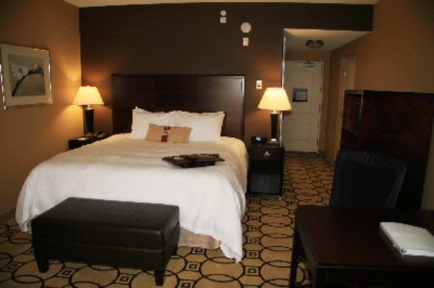 The Hampton Inn & Suites - King Standard