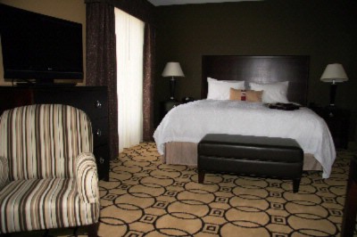 The Hampton Inn & Suites - King Suite