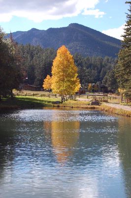North Fork Ranch - Mountains