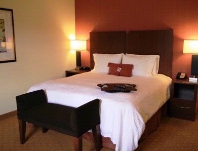 Hampton Inn & Suites Las Vegas Red Rock / Summerli - King Room