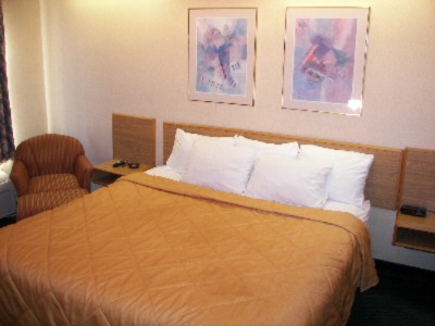 King Bed Room