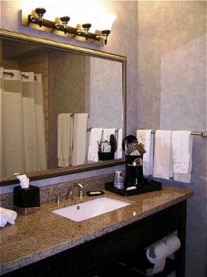 Holiday Inn Express Royse City Rockwall - Updated Bathroom With The Exclusive Holiday Inn Express Shower Head