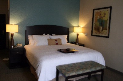 Hampton Inn & Suites - King Room