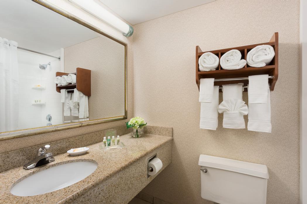 Holiday Inn Boston Brookline - 