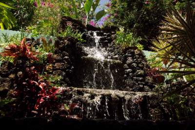 Garden Island Inn - 
