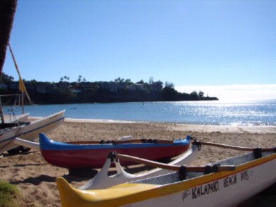 Garden Island Inn - 