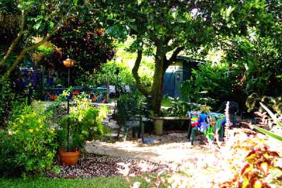 Garden Island Inn - 