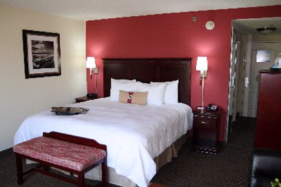 Hampton Inn & Suites - Standard King Room
