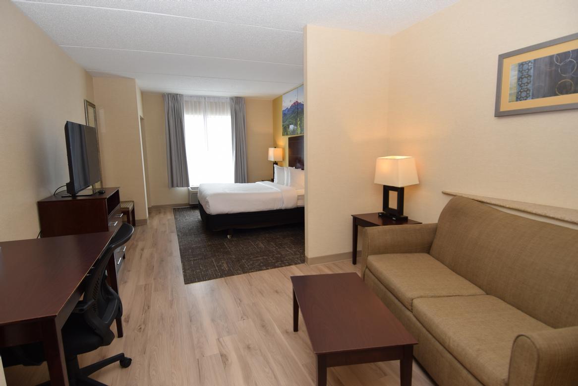 Comfort Suites Syracuse Cicero - 