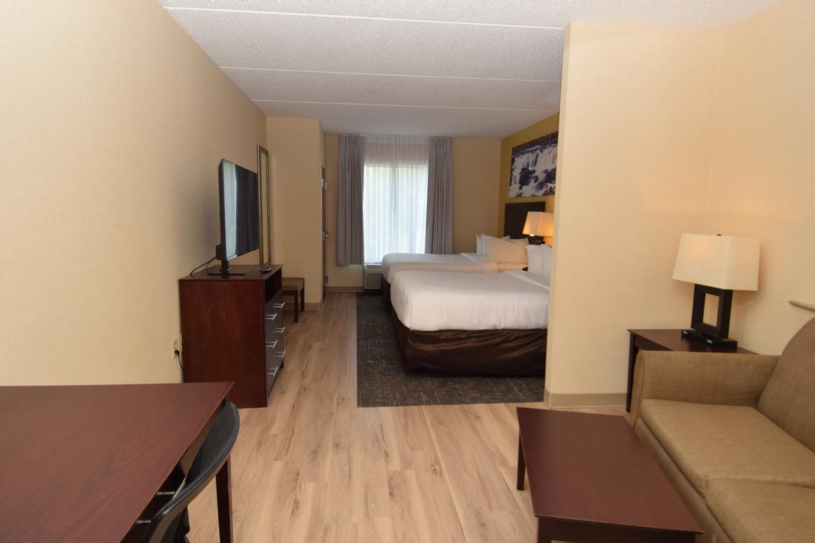 Comfort Suites Syracuse Cicero - 